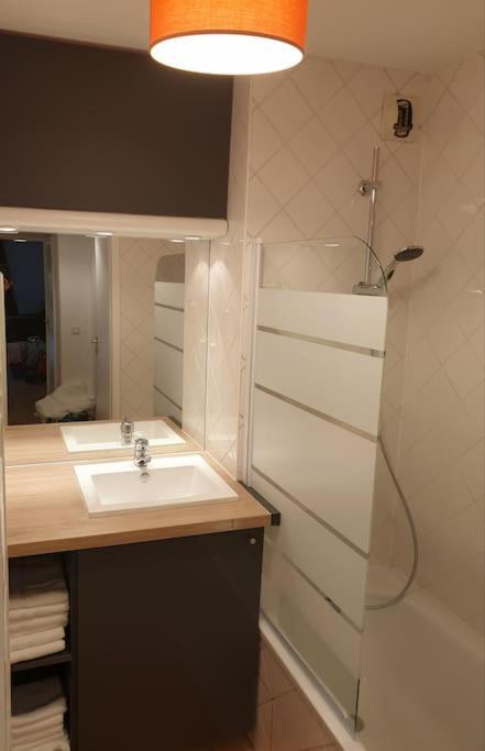 안시 62 M2 Rez De Jardin, Terrasse , 6 Lits Et Parking 아파트 외부 사진